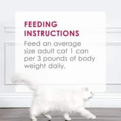 Fancy Feast Sliced Chicken Feast in Gravy Canned Cat Food -FANCY FEAST Sales 76130 PT7. SY630 V1612996283