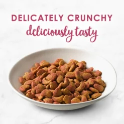 Fancy Feast Gourmet Filet Mignon Flavor with Real Seafood & Shrimp Dry Cat Food -FANCY FEAST Sales 76149 PT2. SY630 V1597886453