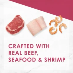 Fancy Feast Gourmet Filet Mignon Flavor with Real Seafood & Shrimp Dry Cat Food -FANCY FEAST Sales 76149 PT4. SY630 V1597880154