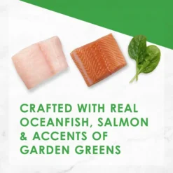 Fancy Feast Gourmet Ocean Fish & Salmon & Accents of Garden Greens Dry Cat Food 15 Fancy Feast Gourmet Ocean Fish & Salmon & Accents of Garden Greens Dry Cat Food -FANCY FEAST Sales 76154 PT4. SY630 V1626903996