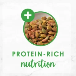 Fancy Feast Gourmet Ocean Fish & Salmon & Accents of Garden Greens Dry Cat Food 19 Fancy Feast Gourmet Ocean Fish & Salmon & Accents of Garden Greens Dry Cat Food -FANCY FEAST Sales 76154 PT8. SY630 V1626907908