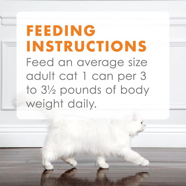 Fancy Feast Classic Poultry & Beef Feast Variety Pack Canned Cat Food 11 Fancy Feast Classic Poultry & Beef Feast Variety Pack Canned Cat Food - Image 9